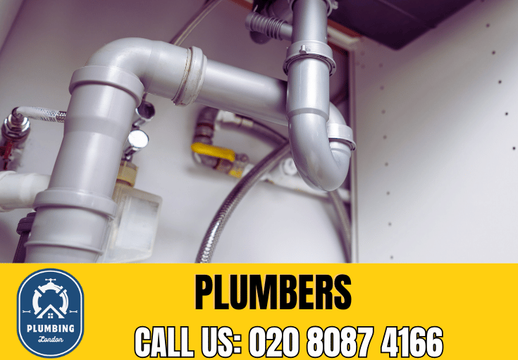  plumber Hurlingham