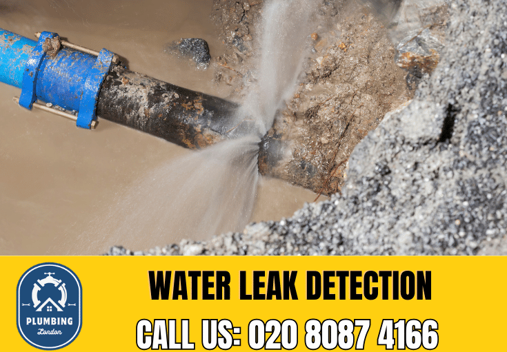 leak detection Fulham