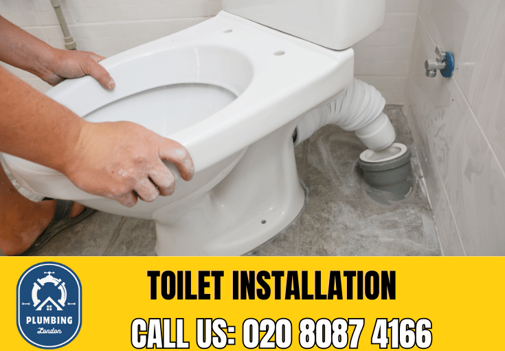 toilet fitters Fulham